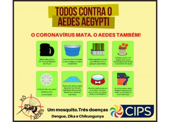 XÔ AEDES!